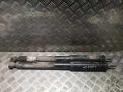 Stoßdämpfer-Set hinten MERCEDES-BENZ C (W203) C 230 (203.052) A2033263000 2033263000