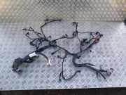 Motor Kabelbaum NISSAN QASHQAI II (J11, J11_) 1.6 dCi 24011BB50A