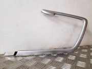 Türpolsterverkleidung hinten links VOLVO XC60 2.4 D 30781183