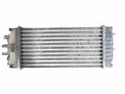 Ladeluftkühler CITROËN BERLINGO (K9) 1.6 BlueHDi 75 9645965180
