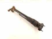 Stoßdämpfer hinten links MERCEDES-BENZ R (W251, V251) R 320 CDI 4-matic (251.022, 251.122) 2513202131