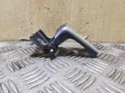 Türscharnier hinten links CITROËN DS4 1.6 HDi 110