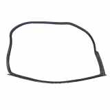 Vorderes rechtes Türdichtungsgummi CHEVROLET CAMARO 6.2 246649263