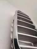 Vorderer oberer Gitter BMW X5 (F15, F85) M 50 d 7316076