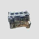 Motorblock RENAULT LAGUNA Coupe (DT0/1) 2.0 dCi (DT01, DT09, DT12, DT1D) M9RJ805