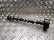 Einlassnockenwelle TOYOTA PRIUS Hatchback (_W2_) 1.5 (NHW2_)