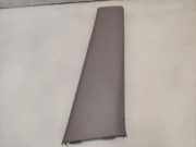 Rechte Seite B Säulenverkleidung RENAULT MODUS / GRAND MODUS (F/JP0_) 1.2 (FP0C, FP0K, FP0P) 8200213653