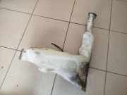 Fensterwaschtank OPEL MOVANO Furgon (F9) 2.5 DTI 8200146985A