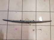 Gehäuse für Kennzeichenleuchte Jaguar S-Type (X200) 4R8313550AE