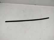 Zierleiste Windschutzscheibe Frontscheibe VW PHAETON (3D_) 6.0 W12 4motion 3D0854328B
