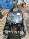 Dach BMW X5 (G05) (G05, F95)