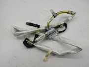 SRS Modul Dach links BMW X5 (E53) 4.4 i 30317951L