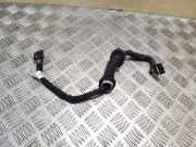 Kabelbaum CHEVROLET CAPTIVA (C100, C140) 2.2 D 4WD 20976408