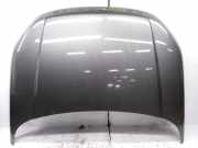 Motorhaube LAND ROVER RANGE ROVER EVOQUE Cabrio (L538) 2.0 D 4x4 BJ3216854A