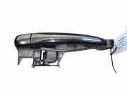 Türgriff links hinten Citroen C5 III (RD) 1198G4