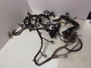 Motor Kabelbaum NISSAN X-TRAIL (T31) 2.0 dCi 24270JG71A