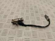 AdBlue Einspritzdüse MERCEDES-BENZ A (W177) A 180d (177.003) 208995377R