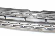 Ziergitter Land Rover Range Rover Evoque I (L538) BJ328B189A