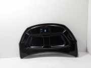 Motorhaube Dacia Lodgy (JS) 651225231R