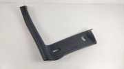 B Pillar Trim MERCEDES-BENZ SLK (R172) 250 CDI / d (172.403) P0MV0
