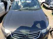 Motorhaube Honda Accord VIII Tourer (CW)