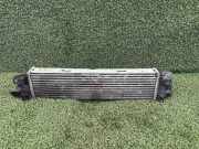 Ladeluftkühler Opel Movano Kasten (X70) 93868350