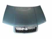 Motorhaube Skoda Fabia (6Y)