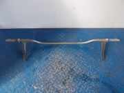 Zierleiste Nissan X-Trail I (T30)