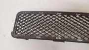 Gitter vorne unten HYUNDAI TUCSON (JM) 2.0 CRDi