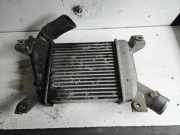 Ladeluftkühler NISSAN X-TRAIL (T30) 2.2 Di 4x4