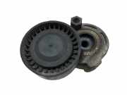 Riemenspanner RENAULT CLIO III (BR0/1, CR0/1) 1.5 dCi AC46000