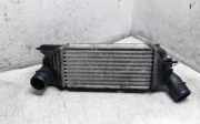 Ladeluftkühler Peugeot 407 SW () 874823NK
