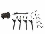 Einspritzventil Set VOLVO V70 III (BW) D4 31405129