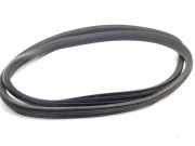 Türgummi rechts vorne Renault Clio III (BR0/1, CR0/1)