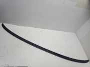 Heckklappenspoiler BMW 5 (G30) 530 i xDrive 51628064738