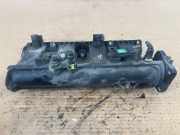Ansaugbrücke NISSAN JUKE (F15) 1.2 DIG-T 1072535S01