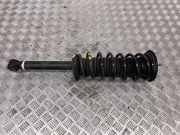 Stoßdämpfer hinten links TOYOTA MIRAI (JPD1_) FCV (JPD10_) 4853062020