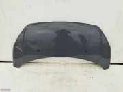 Motorhaube Ford Transit Custom V362 Bus (F3)