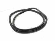 Türdichtung Citroen C4 II (B7)