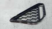 Gitter vorne unten BMW X2 (F39) X2 xDrive20d 8069097