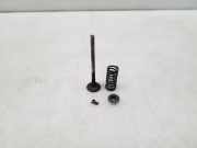 Auslassventile NISSAN QASHQAI / QASHQAI +2 I (J10, JJ10) 2.0 dCi