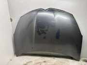 Motorhaube CITROËN C-CROSSER (EP_) 2.2 HDi