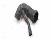 Luftdüsengehäuse Citroen C3 (FC)