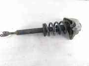 Stoßdämpfer vorne links AUDI A6 (4F2, C6) 2.7 TDI