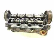 Motorkopf LAND ROVER DISCOVERY III (L319) 2.7 TD 4x4 P80LA