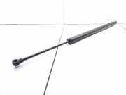 Heckklappe Gasdruckfeder links RENAULT MODUS / GRAND MODUS (F/JP0_) 1.4 (JP01, JP0J) 8200219322