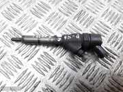 Düsenstöcke Peugeot 406 Coupe (8C)