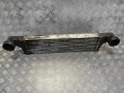 Ladeluftkühler BMW X5 (E53)