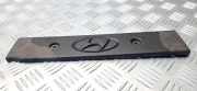 Motorabdeckung HYUNDAI i20 (PB, PBT) 1.2 2240503000