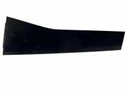 Türpolsterverkleidung hinten links